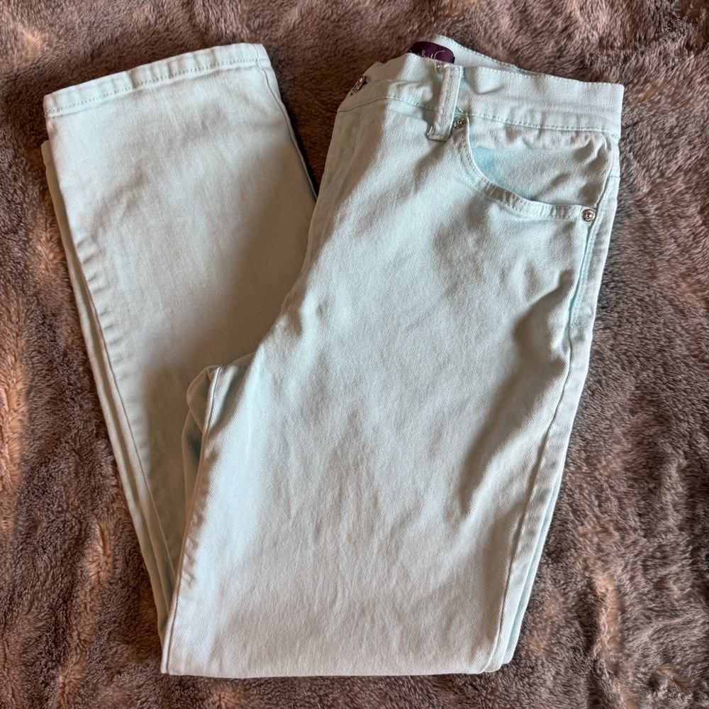 Gloria Vanderbilt Sky Blue Amanda Straight Leg Jean - Size 10 Short